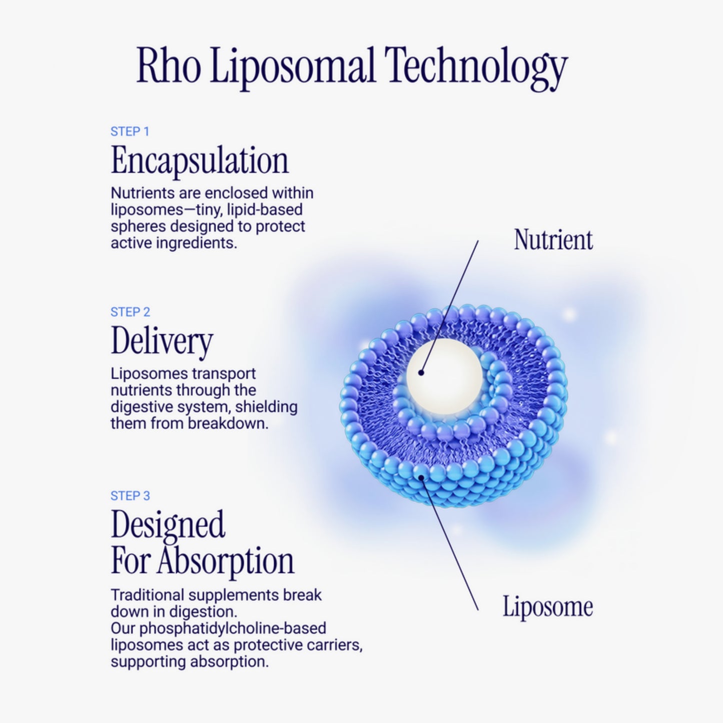 Rho Nutrition Liposomal NAD+ Supplement